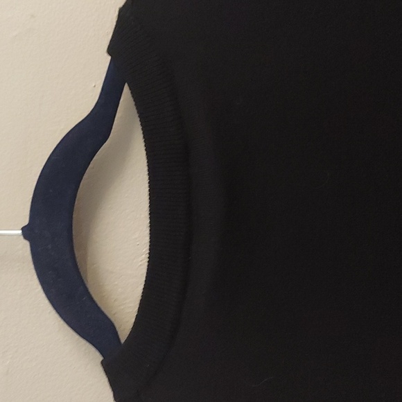 ADRIANNA PAPELL Black Crewneck Swiss Dot Sheer Long Sleeve Pullover Sweater - Picture 8 of 11